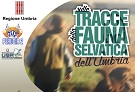 Sulle tracce della fauna selvatica